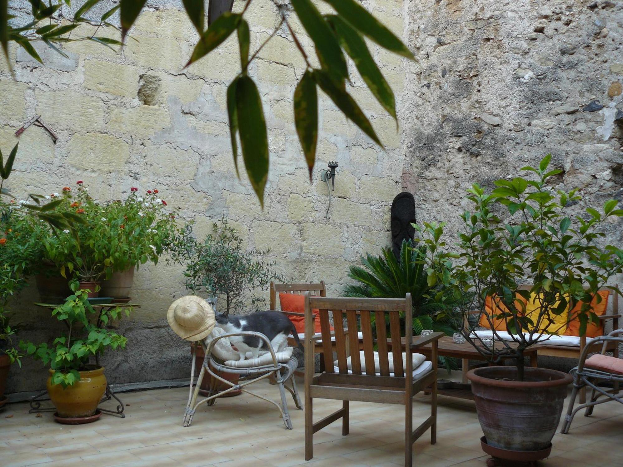 Pézenas Chambres D'Hotes De Fleurus מראה חיצוני תמונה